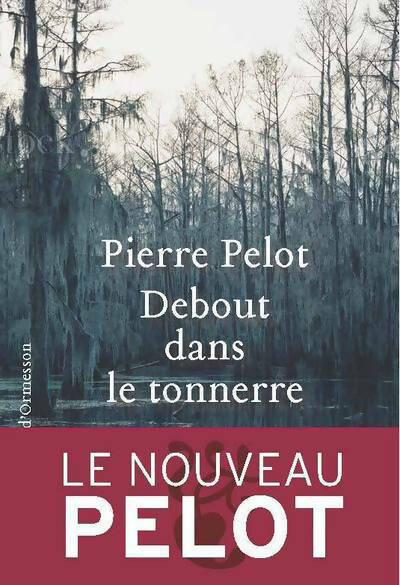 Livrenpoche : Debout dans le tonnerre - Pierre Pelot - Livre