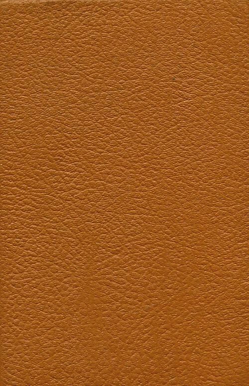 Livrenpoche : Madame Bovary - Gustave Flaubert - Livre