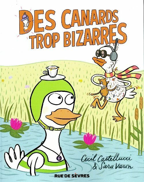 Livrenpoche : Des canards trop bizarres - Cecil Castellucci - Livre