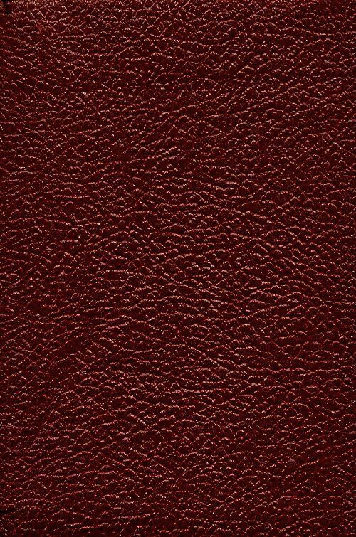 Livrenpoche : Manon Lescaut - Abbé Prévost - Livre