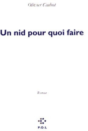 Livrenpoche : Un nid pour quoi faire - Olivier Cadiot - Livre