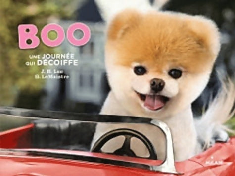 Livrenpoche : Boo, une journée qui décoiffe - J-H Lee - Livre