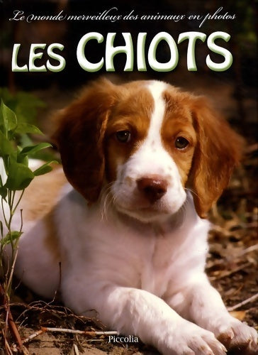 Livrenpoche : Les chiots - Brandi Valenza - Livre