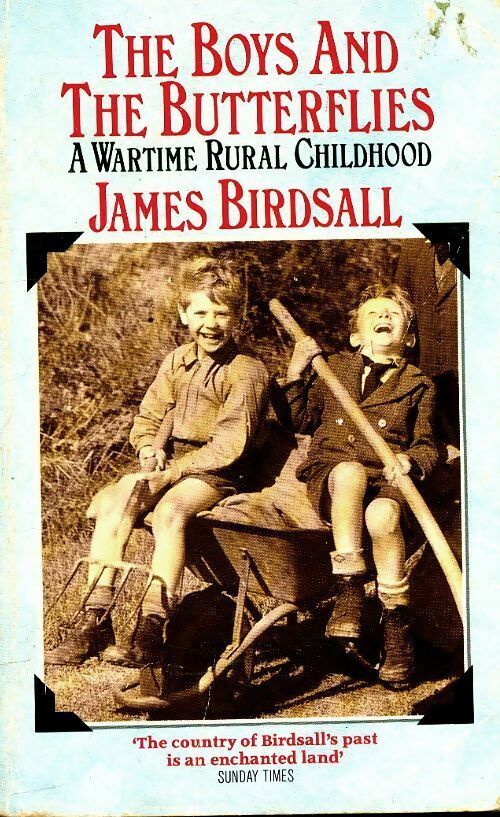 Livrenpoche : The boys and the butterflies - Jeanne Birdsall - Livre