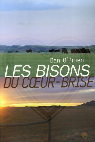Les bisons du coeur-brisé - Dan O'Brien -  Diable Vauvert GF - Livre