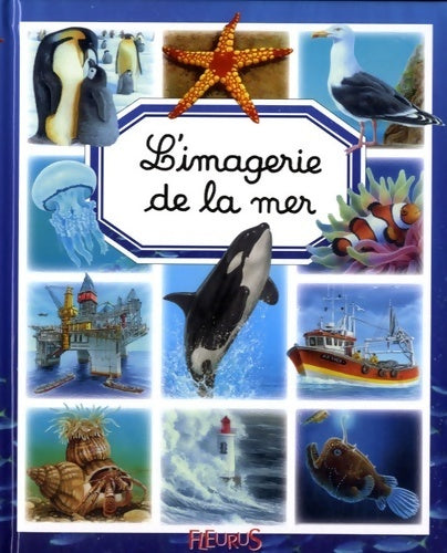 L'imagerie de la mer - Emilie Beaumont - Livre