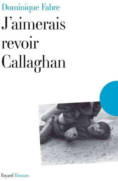 Livrenpoche : J'aimerais revoir Callaghan - Dominique Fabre - Livre