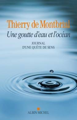 Une goutte d'eau et l'océan. Journal d'une quête de sens 1977-2014 - Thierry De Montbrial -  Albin Michel GF - Livre