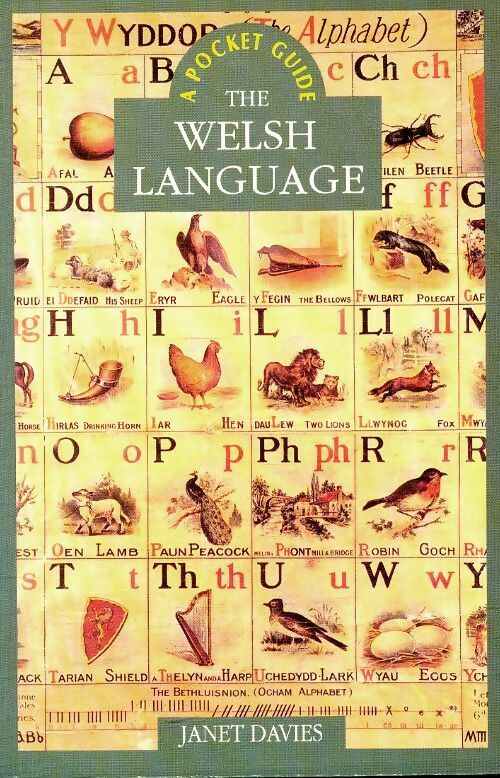 The welsh language - Janet Davies -  A pocket guide - Livre