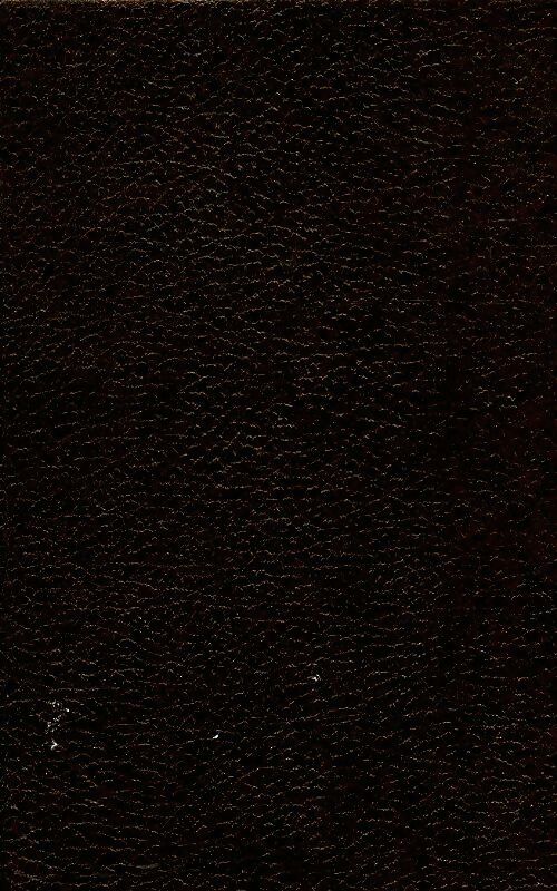 Livrenpoche : De Pouchkine à Gorki Tome X - Dmitry Merejkovsky - Livre