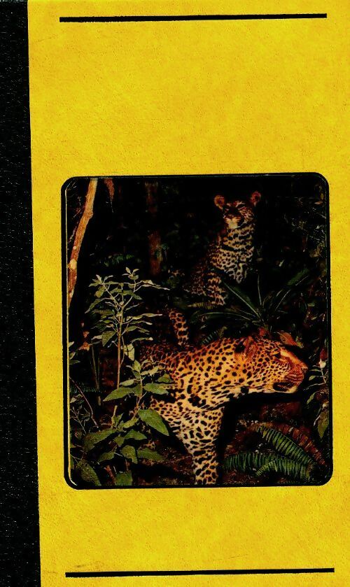 Livrenpoche : Les plus belles histoires d'animaux Tome II - Yvonne David-marescot - Livre