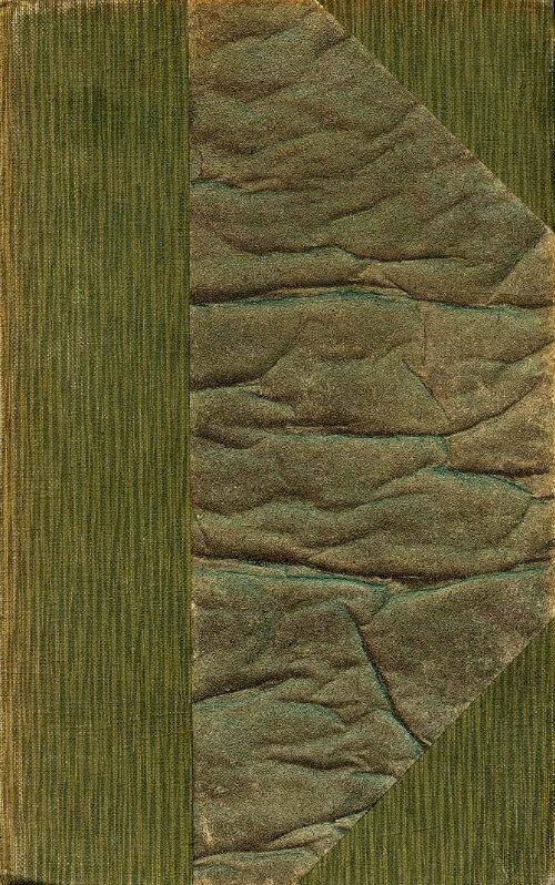 Livrenpoche : L'amour en Amérique - Ferri-Pisani - Livre