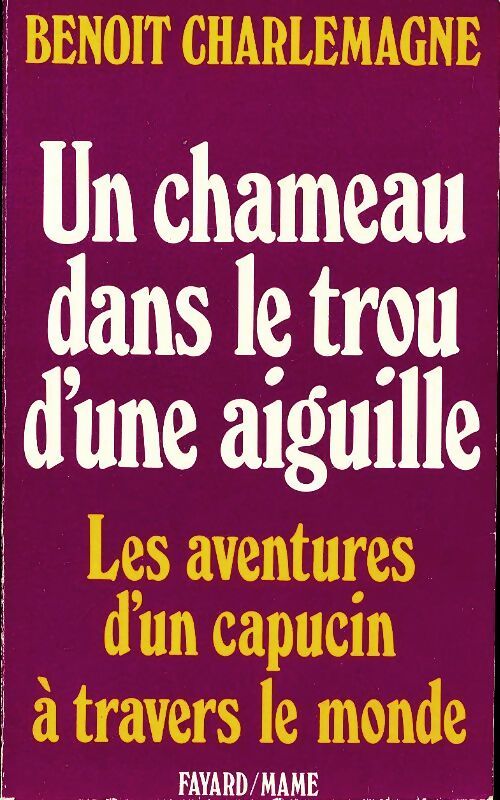 Livrenpoche : Un chameau dans le trou d'une aiguille - Benoît Charlemagne - Livre
