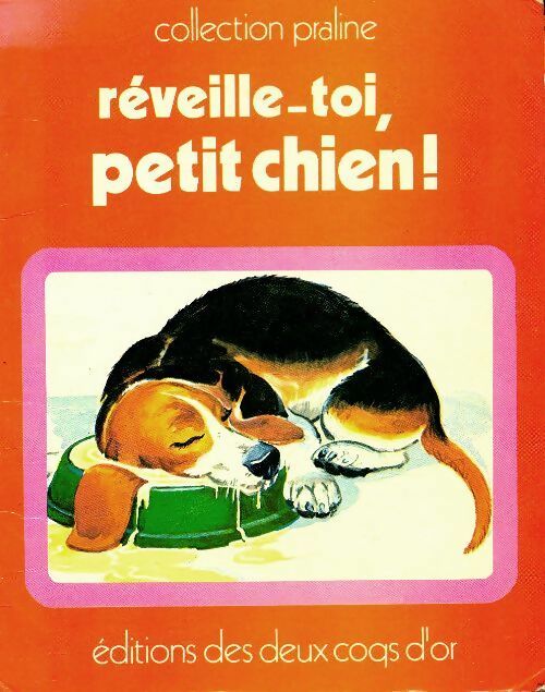 Livrenpoche : Réveille-toi, petit chien - M.J Chamberlin - Livre