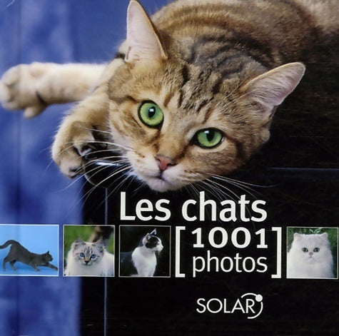 Livrenpoche : Les chats en 1001 photos - Collectif, Yves Lanceau - Livre