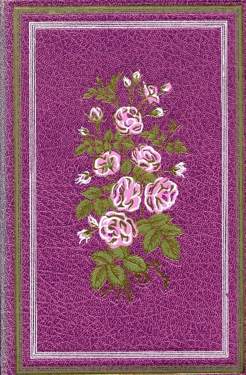 Livrenpoche : Les vacances - Comtesse De Ségur - Livre