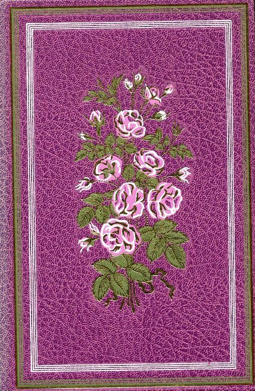 Livrenpoche : Diloy le chemineau - Comtesse De Ségur - Livre