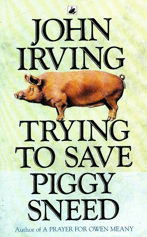Livrenpoche : Trying to save piggy sneed - John Irving - Livre
