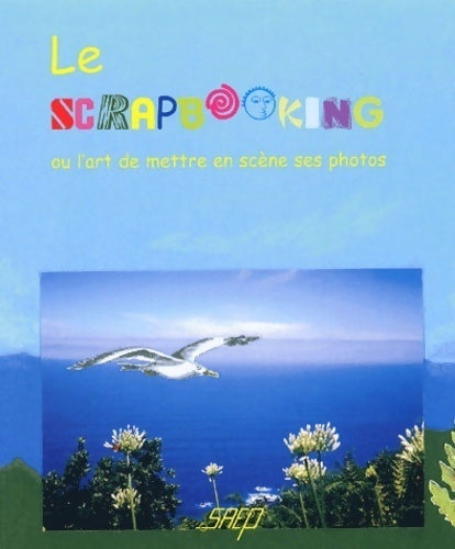 Livrenpoche : Le scrapbooking ou l'art de mettre en scène ses photos - Cécile Holveck - Livre
