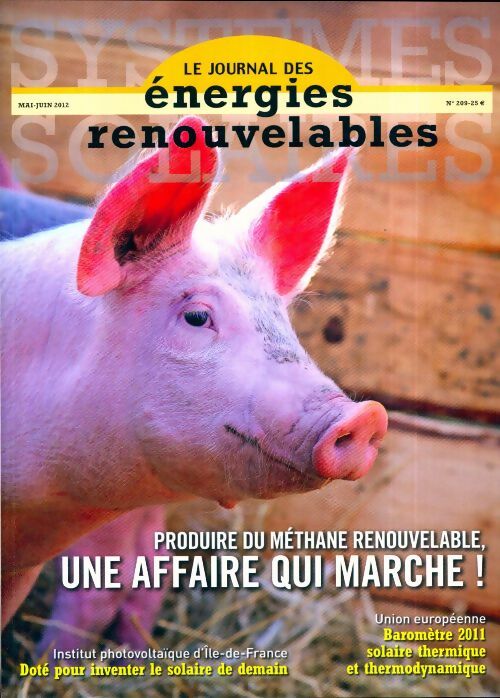 Livrenpoche : Systèmes solaires n°209 : Une affaire qui marche ! - Collectif - Livre
