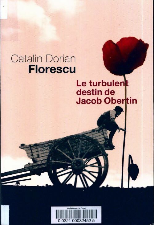 Le turbulent destin de Jacob Obertin - Catalin Dorian Florescu - Livre