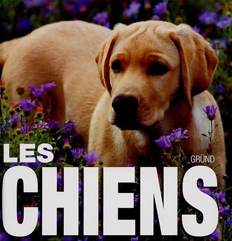 Livrenpoche : Les Chiens - Vito Bruno - Livre