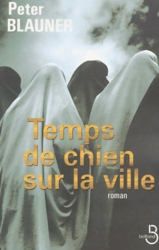 Livrenpoche : Temps de chien sur la ville - Peter Blauner - Livre