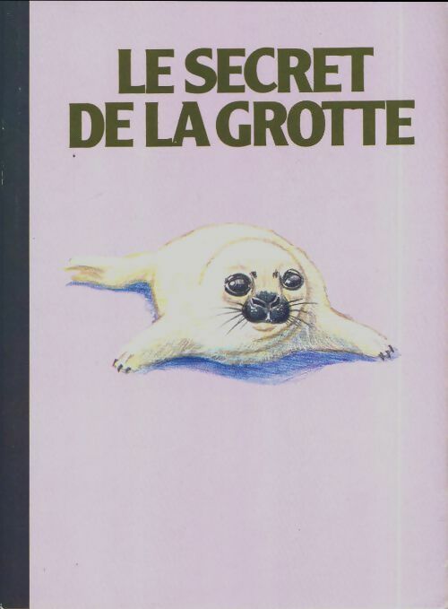 Livrenpoche : Le secret de la grotte - Aidan Chambers - Livre