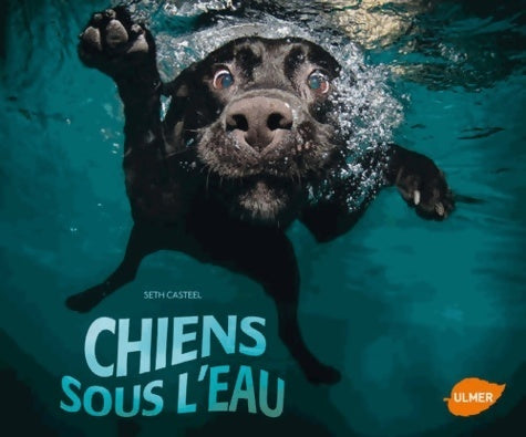 Livrenpoche : Chiens sous l'eau - Seth Casteel - Livre