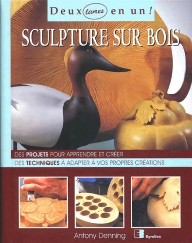 Livrenpoche : Sculpture sur bois - Antony Denning - Livre