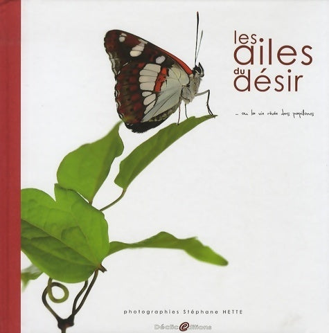 Les ailes du désir - Stéphane Hette -  Déclic - Livre