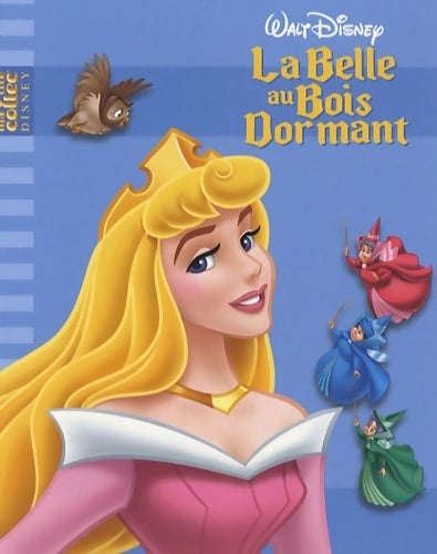 Livrenpoche : La belle au bois dormant - Walt Disney, Disney - Livre