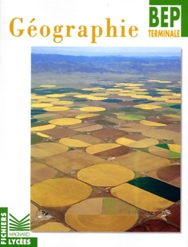 Histoire-géographie BEP Terminale - Collectif -  Fichiers Lycées - Livre