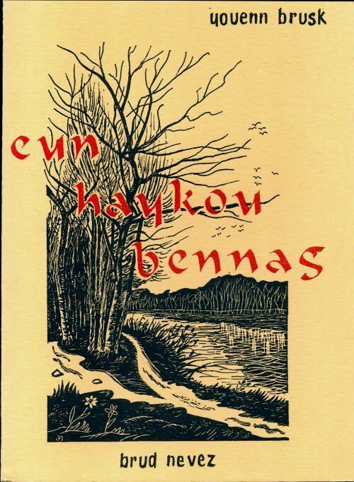 Livrenpoche : Eun Haykou bennag - Youenn Brusk - Livre
