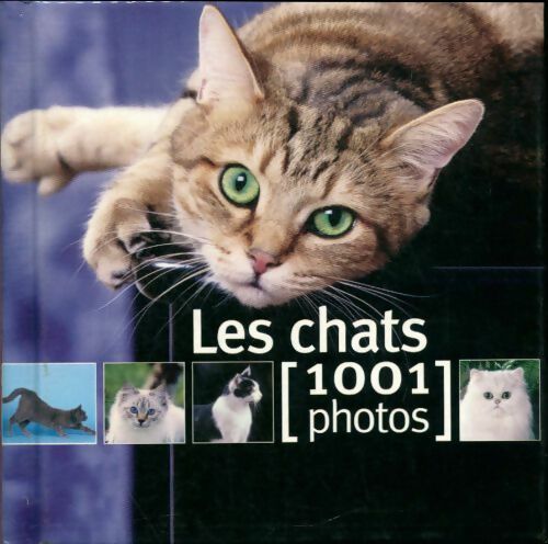 Livrenpoche : Les chats en 1001 photos - Collectif, Yves Lanceau - Livre