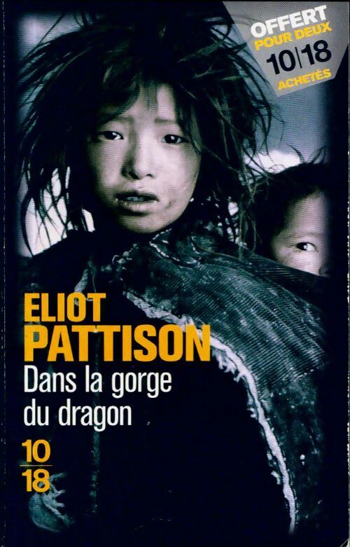 Livrenpoche : Dans la gorge du dragon - Eliot Pattison - Livre