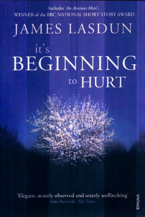Livrenpoche : It's beginning to hurt - James Lasdun - Livre