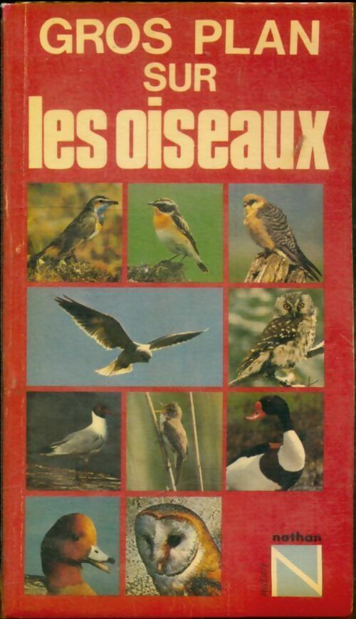 Gros plan sur les oiseaux - Nicolai - Livre