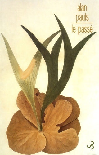Livrenpoche : Le passé - Alan Pauls - Livre