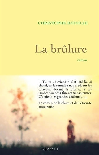 Livrenpoche : La brûlure - Christophe Bataille - Livre