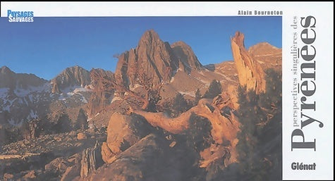 Livrenpoche : Pyrénées : Perspectives singulières - Alain Bourneton - Livre