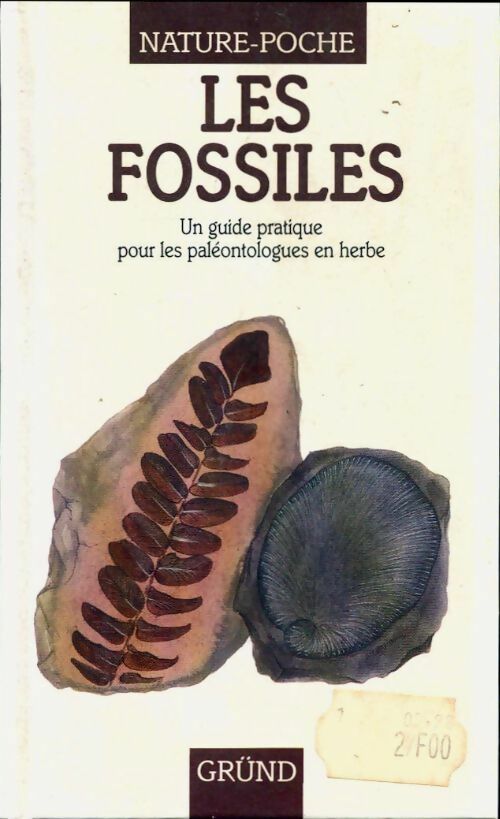 Livrenpoche : Les fossiles - Henry Gee - Livre