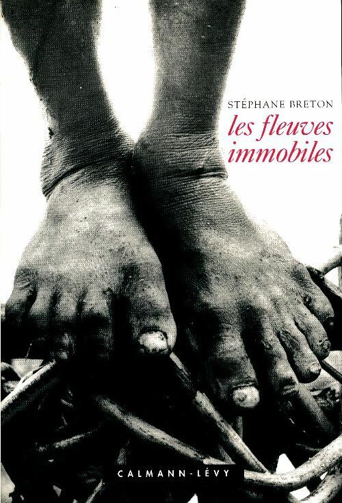 Livrenpoche : Les Fleuves immobiles - Stéphane Breton - Livre