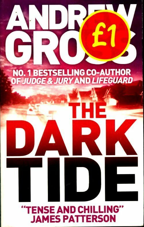 Livrenpoche : The dark tide - Andrew Gross - Livre