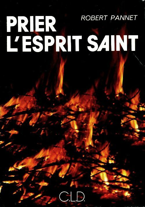 Prier l'esprit saint - Robert Pannet - Livre