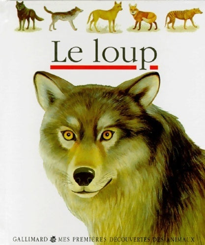 Livrenpoche : Le loup - Laura Bour - Livre