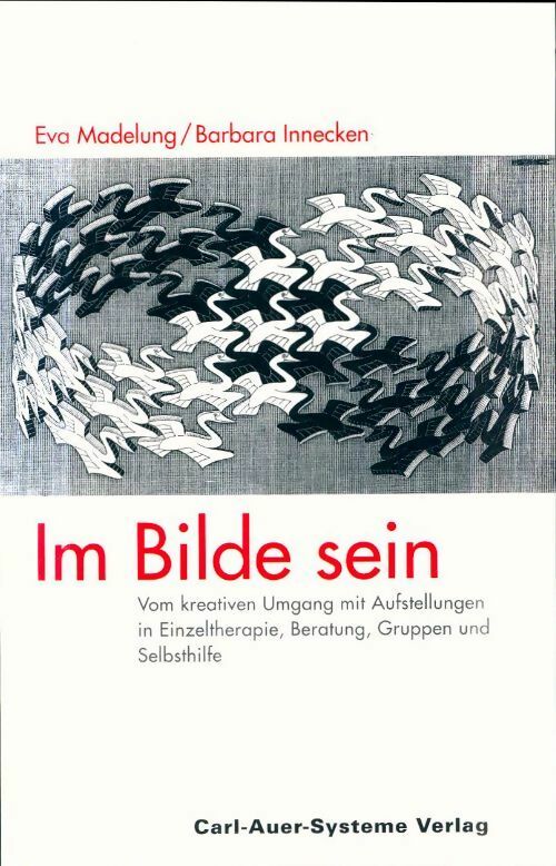 Livrenpoche : Im bilde sein - Eva Madelung - Livre
