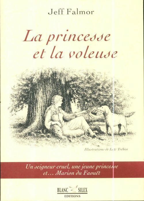 Livrenpoche : La princesse et la voleuse - Jeff Falmor - Livre