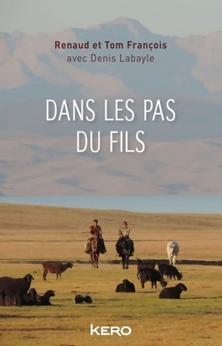Livrenpoche : Dans les pas du fils - Denis Labayle - Livre