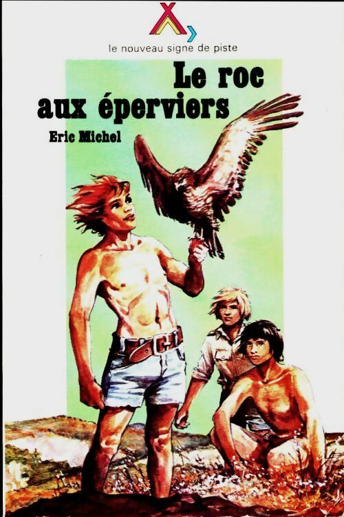 Livrenpoche : Le roc aux éperviers - Eric Michel - Livre